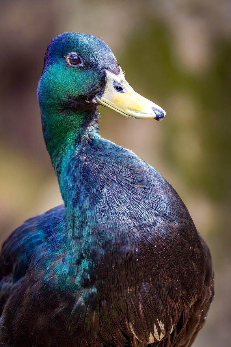 Flavor Pairing Adventures